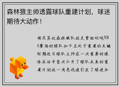 森林狼主帅透露球队重建计划，球迷期待大动作！